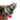2136382 | Genuine Paccar® Fuel Rail Pressure Control Valve for MX-13 Front view