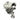 3762753 | Genuine CAT® Turbocharger B2XG with Actuator Front-left angle